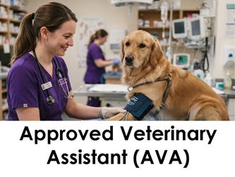 A Veterinary Assistant takes a dogs blood pressure