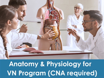 VN students reviewing anatomy on a manikin