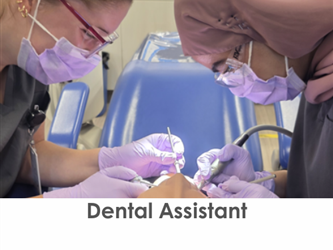 Two dental students practice their skills on a dental training dummy